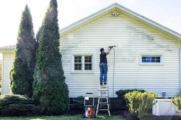 Professional Pressure Washing in Millington, MI