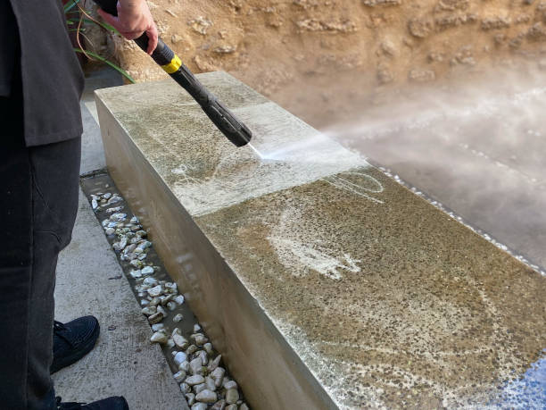 Best Sidewalk Pressure Washing  in Llington, MI