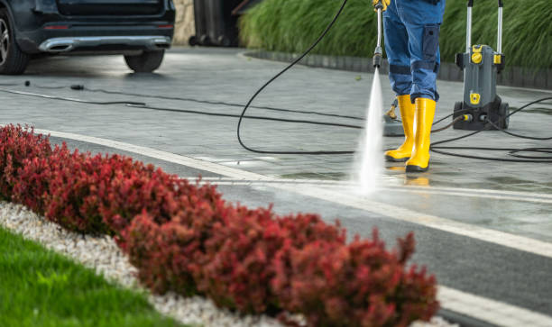 Best Deck Pressure Washing  in Llington, MI