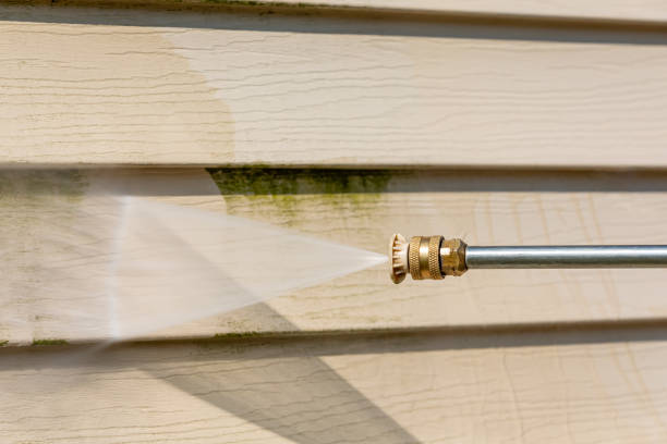 Roof Power Washing Services in Millington, MI