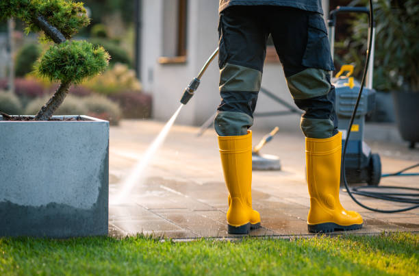 Best Deck Cleaning Services  in Llington, MI